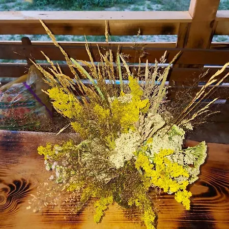 Vakantieboerderij Poiana Cerbilor Slatina (Arges)