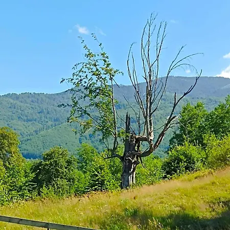 Poiana Cerbilor Slatina (Arges)